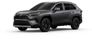 2025 Toyota RAV4