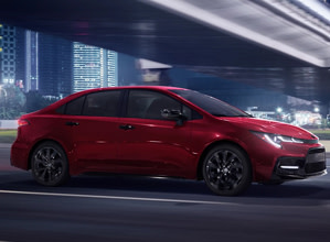 softex-trimmed seats