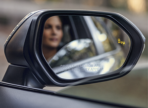 blind spot monitor with rear cross-traffic alert