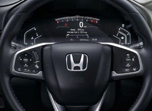 Driver Information Interface