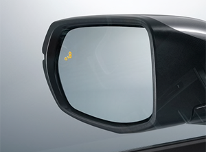 Blind Spot Information System