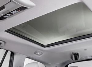 Panoramic Roof
