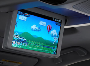 Rear Entertainment System