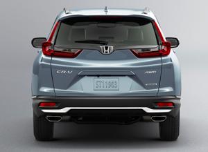 Dual Chrome Exhaust Finishers