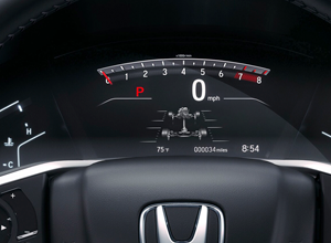 Driver Information Interface
