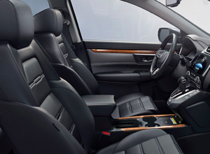 Leather-Trimmed Interior