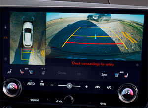 PANORAMIC VIEW MONITOR*