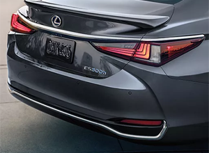 rear pedestrian detection