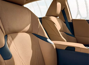 whiplash injury lessening front seatbacks