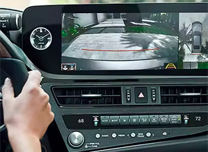 panoramic view monitor