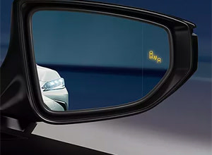 blind spot monitor with rear cross-traffic alert