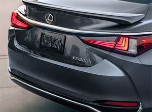 rear pedestrian detection