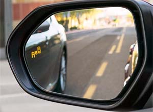 blind spot monitor with rear cross-traffic alert