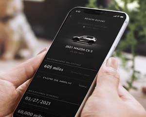 VEHICLE HEALTH AND STATUS