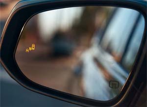 blind spot monitor with rear cross-traffic alert