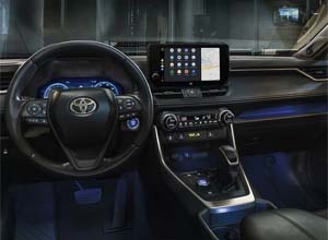 Elevated Cabin Experience