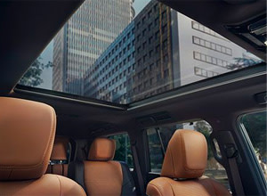 dynamic sky panorama glass roof