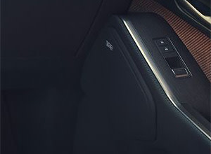 mark levinson premium surround sound