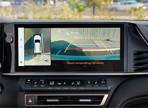 panoramic view monitor