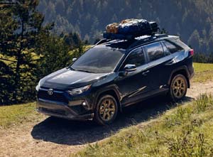 2025 Toyota RAV4
