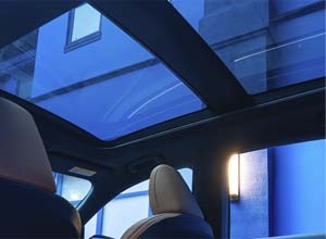 Sheehy_Lexus_RX_2025