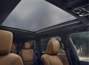 dynamic sky panorama glass roof