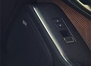 mark levinson premium surround sound