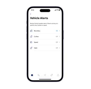 Vehicle Alerts*