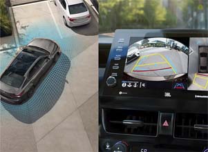 panoramic view monitor