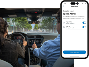 vehicle alerts