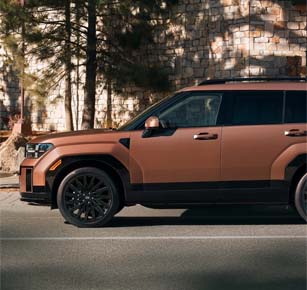  longtallbold as ever 