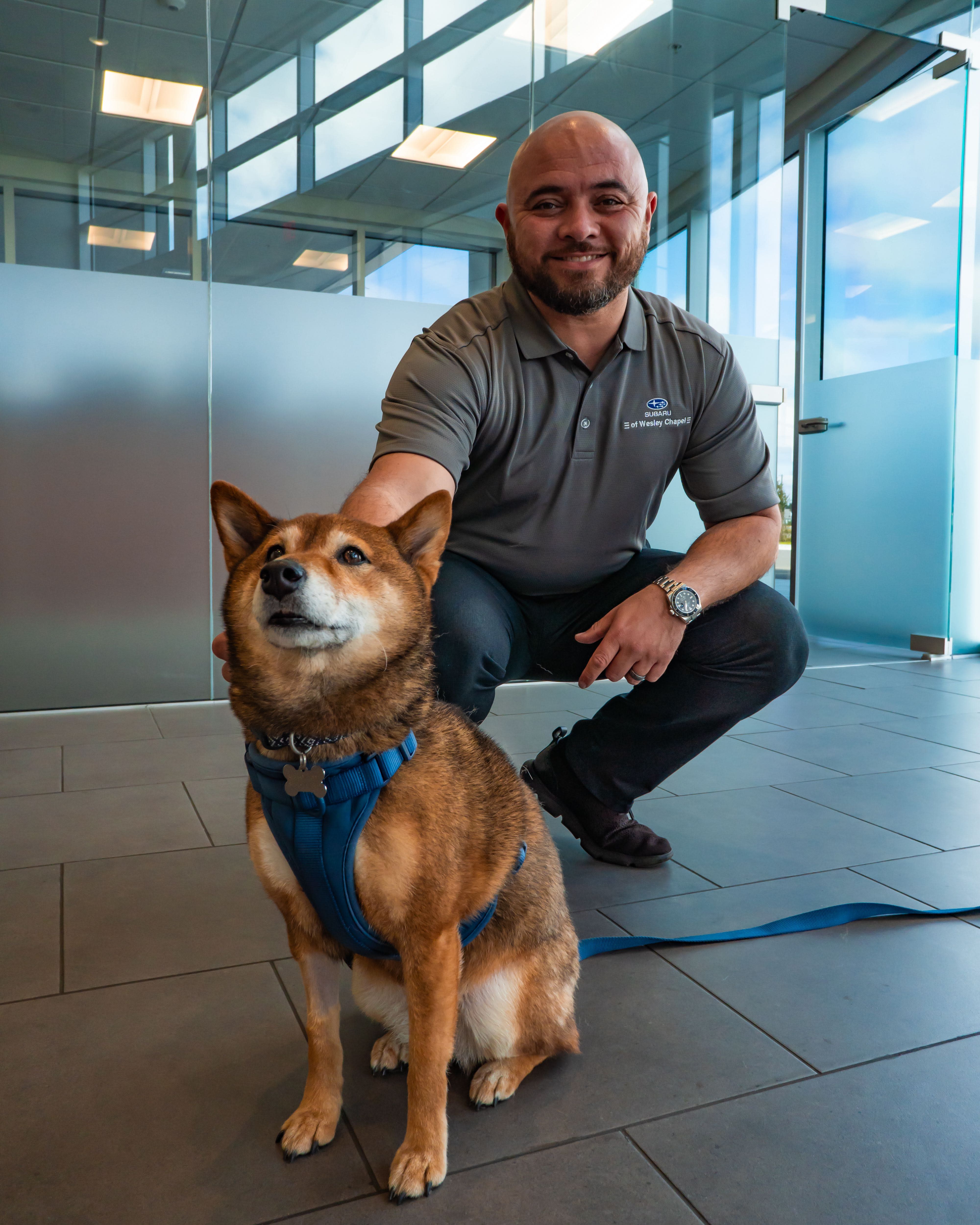 About Us - Subaru of Wesley Chapel - Wesley Chapel, Florida, 33544