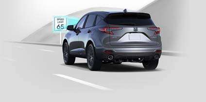 traffic sign recognition 