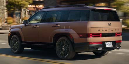 “H” motif signature