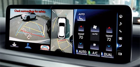 panoramic view monitor