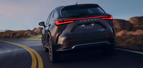 dynamic f sport handling