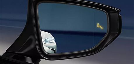 blind spot monitor with rear cross-traffic alert