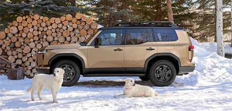 the all-new lexus gx