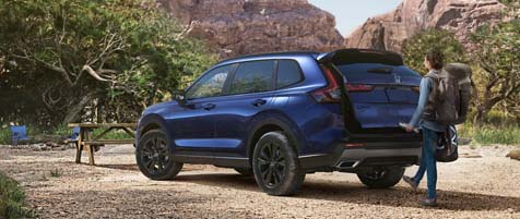 hands-free access power tailgate