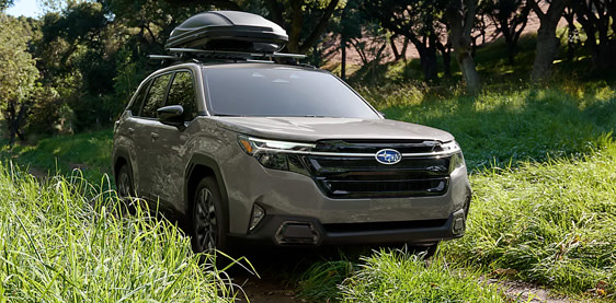 love begins with trust