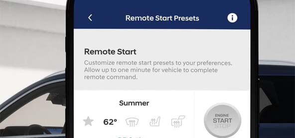 Introducing Bluelink