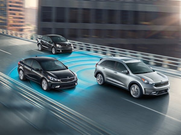2019 Kia Blind Spot Detection