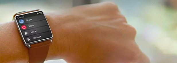 panoramic view monitor