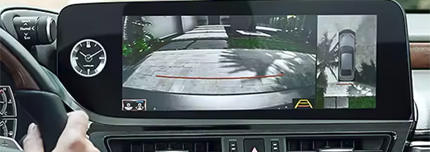 panoramic view monitor