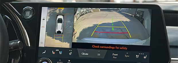 panoramic view monitor
