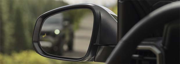 blind spot monitor with rear cross-traffic alert