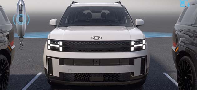 Remote Smart Parking Assist