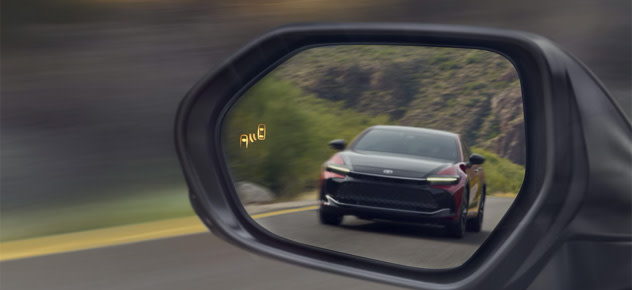 Blind Spot Monitor w/Rear