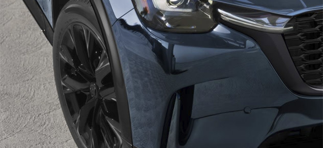 SOPHISTICATED BLACK ACCENTS