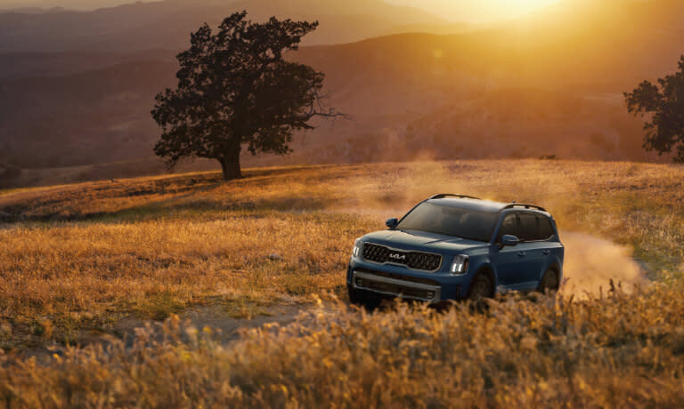 2025 Kia Telluride driving in a golden field